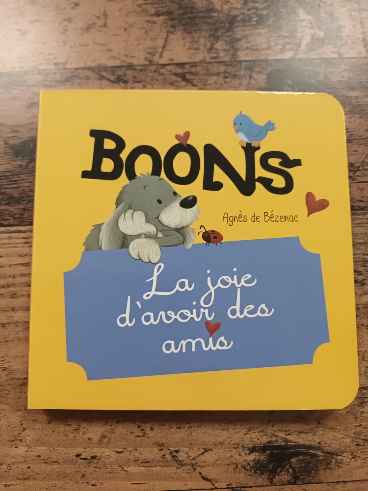 BOONS La joie d'avoir des amis