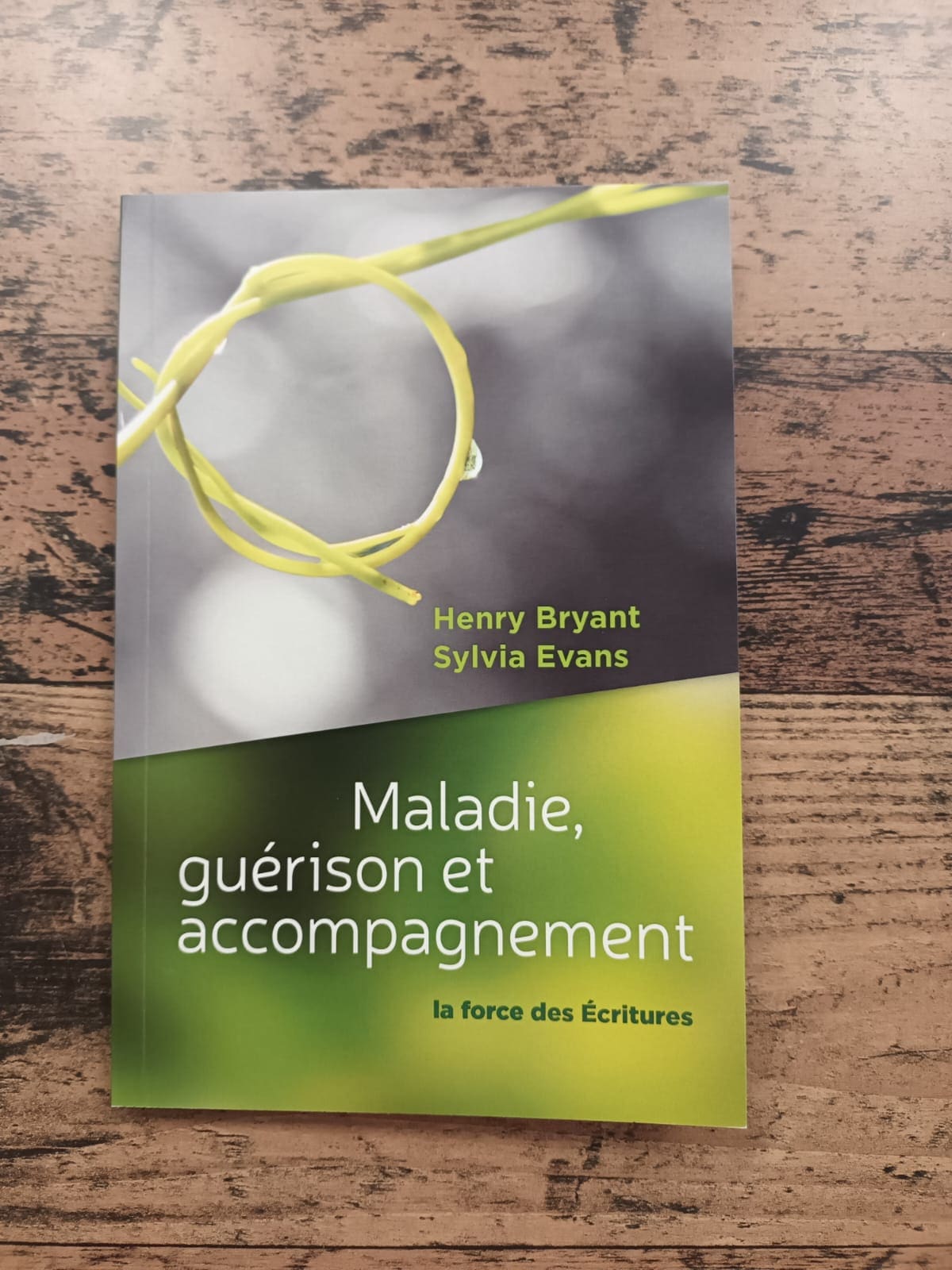 Maladie, guérison et accompagnement