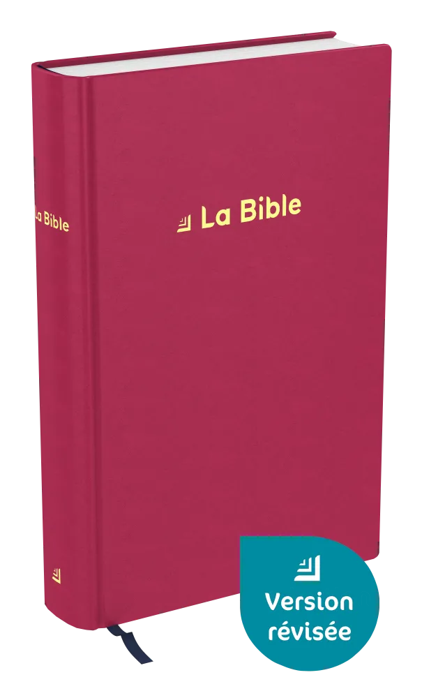 Bible Darby révisée format standard, rigide velours rouge framboise