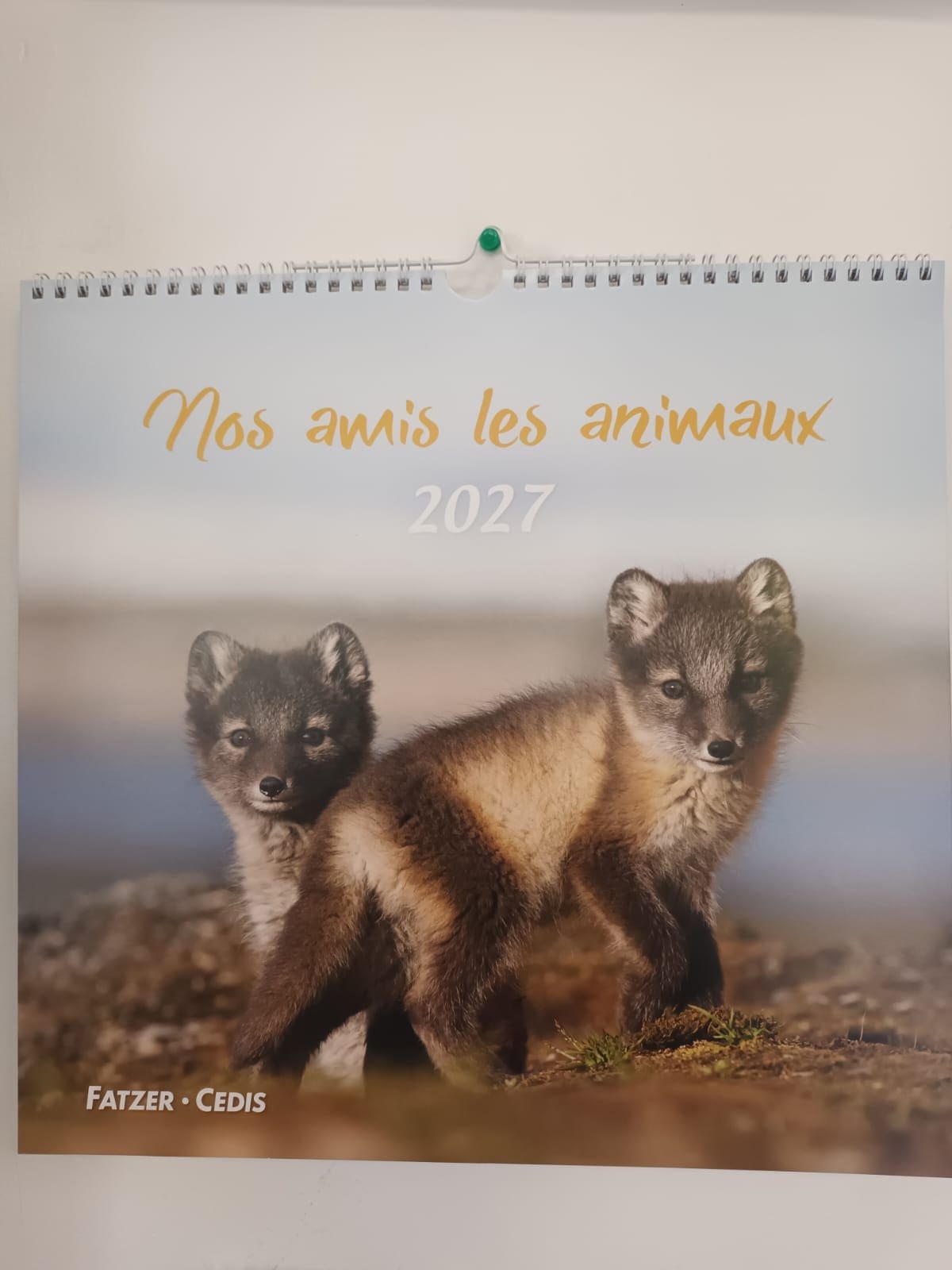 CAL. 2027 Petits amis avec versets bibliques
